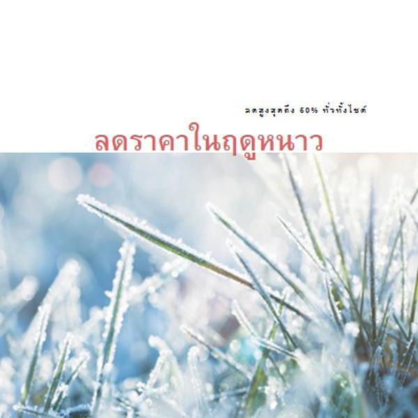 เช้าในฤดูหนาว white modern-simple