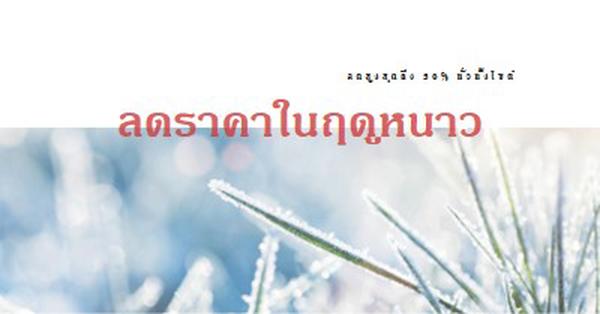 เช้าในฤดูหนาว white modern-simple