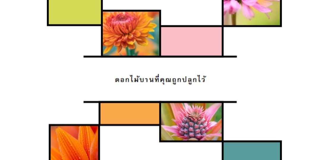 ดอกไม้บานที่คุณถูกปลูก white modern-geo-&-linear