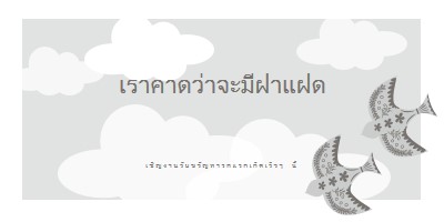 สองเท่าที่ดี gray organic-simple