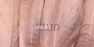 ผ้าที่เป็นมิตร pink modern-simple