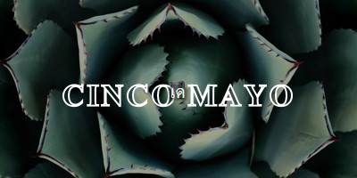 เฉลิมฉลองเทศกาล Cinco de Mayo green modern-bold