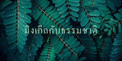 มิงเกิลกับธรรมชาติ green modern-simple