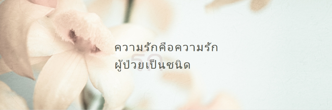 บันทึกความรัก white modern-simple