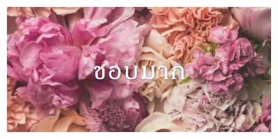 ความรู้สึกดอกไม้ pink modern-simple