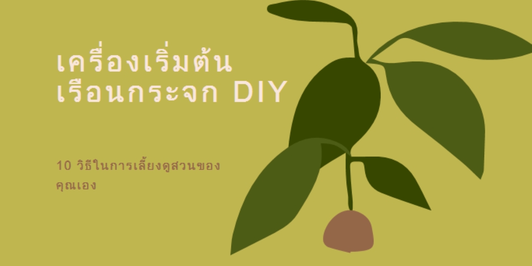 สร้างสวนของคุณเอง green modern-color-block