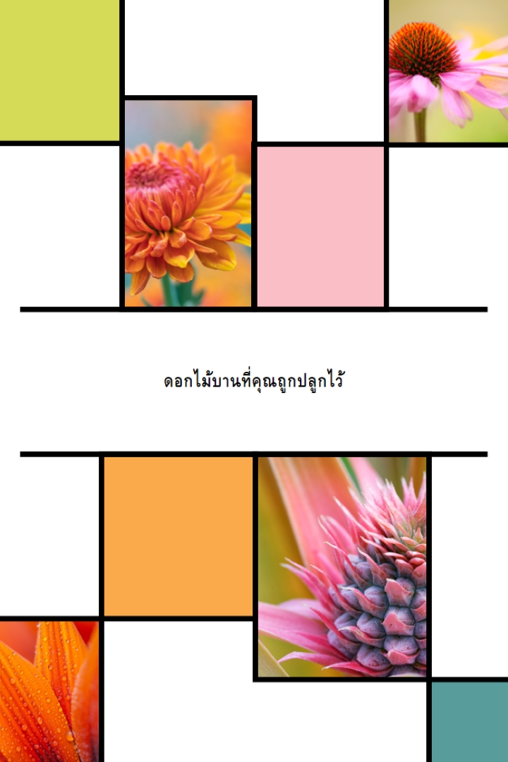 ดอกไม้บานที่คุณถูกปลูก white modern-geo-&-linear
