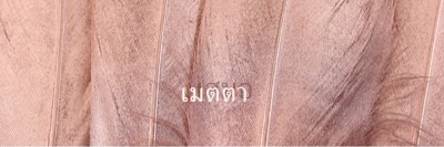 ผ้าที่เป็นมิตร pink modern-simple