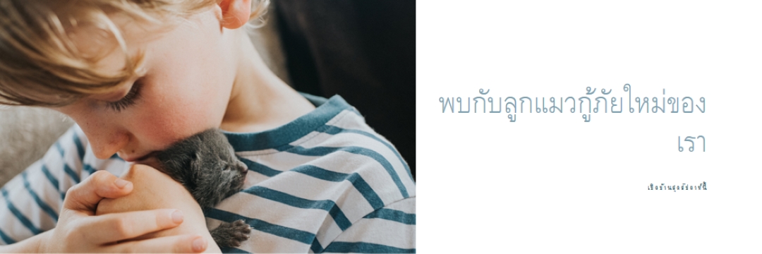 พบกับการช่วยเหลือใหม่ของเรา pink modern-simple