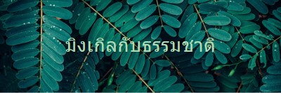 มิงเกิลกับธรรมชาติ green modern-simple