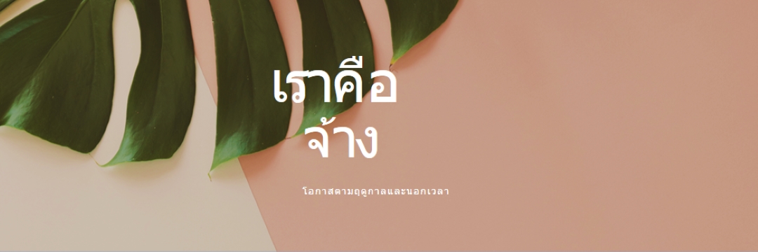 เรากําลังจ้างพนักงานประจําตามฤดูกาล pink modern-simple