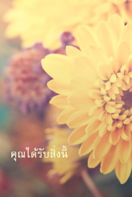 กลีบดอกที่เจริญรุ่งเรือง yellow modern-simple