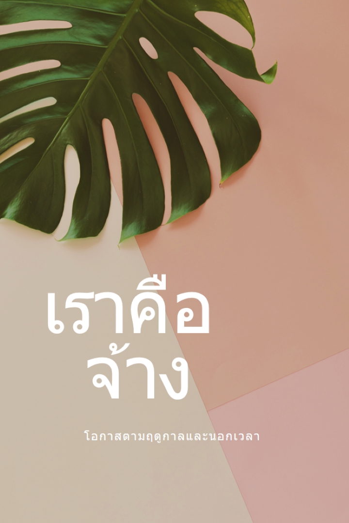 เรากําลังจ้างพนักงานประจําตามฤดูกาล pink modern-simple