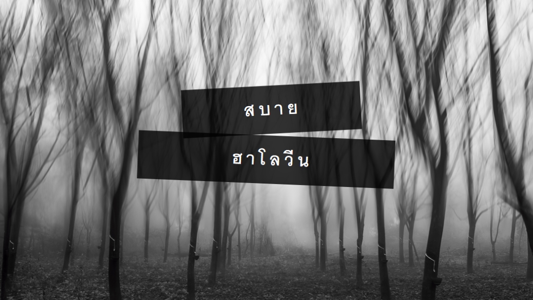 ป่าดํา gray modern-simple