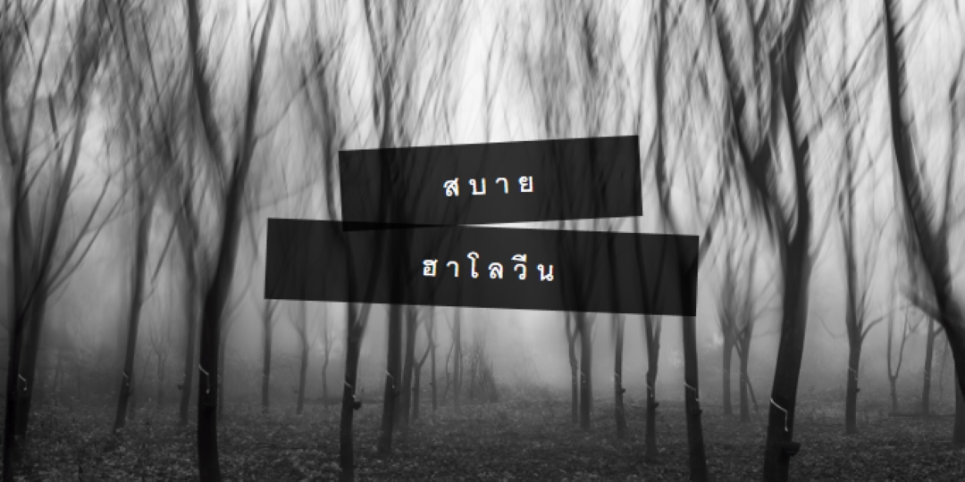 ป่าดํา gray modern-simple