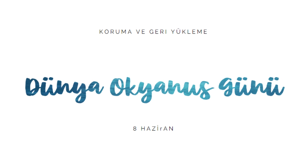 Koruma ve geri yükleme white modern-simple
