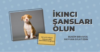 İkinci şans pup blue modern-bold