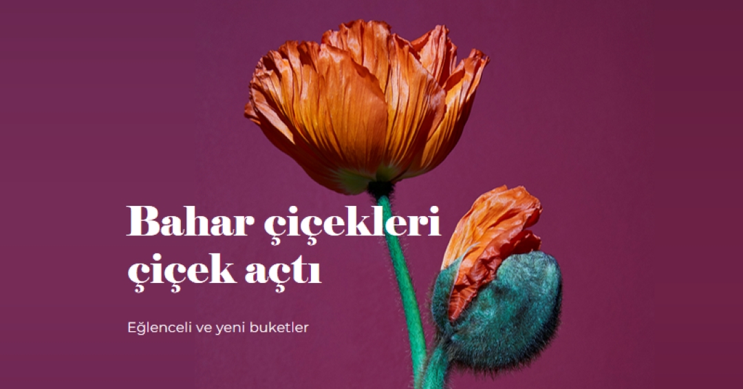 Taze çiçekler purple modern-simple