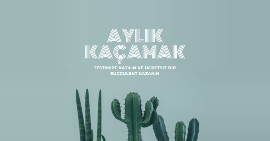 Aylık hediye testi green modern-simple