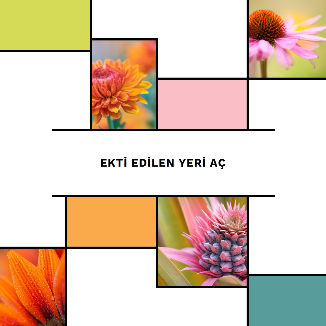 Ekildiğin yerde çiçek aç white modern-geo-&-linear