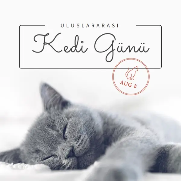 Kedi uykusu gray modern-simple