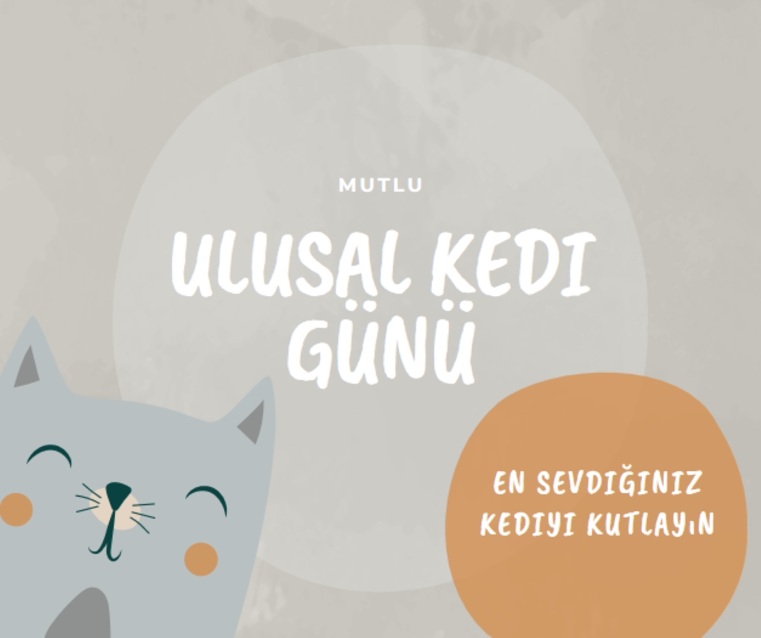 Ulusal Kedi Gününüz Kutlu Olsun gray organic-simple