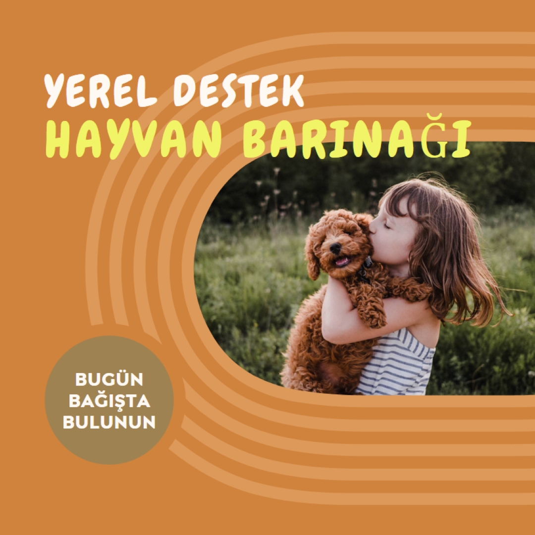 Barınak yardımcısı orange whimsical-color-block