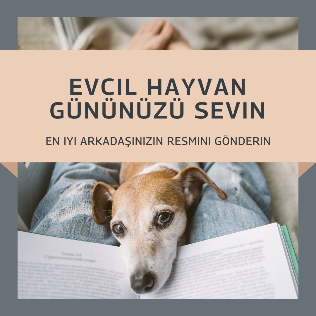 En iyi dostun gray modern-simple