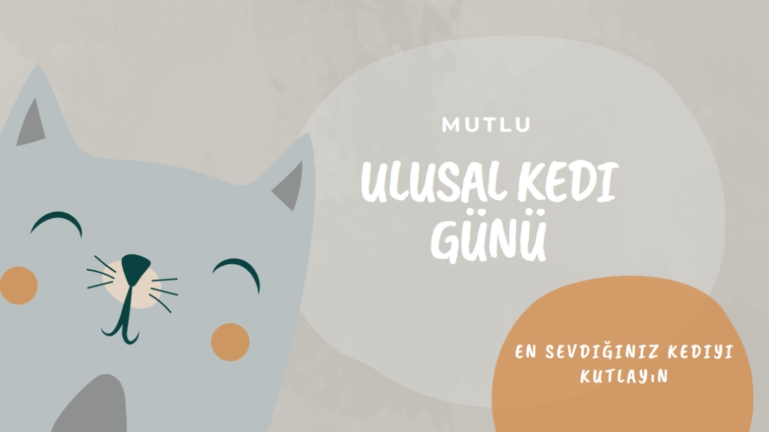 Ulusal Kedi Gününüz Kutlu Olsun gray organic-simple