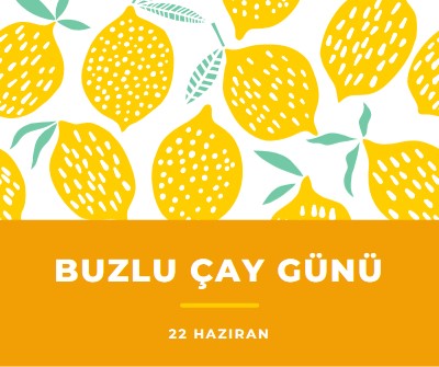 Hayatın limonları buzlu çay içindir orange whimsical-color-block