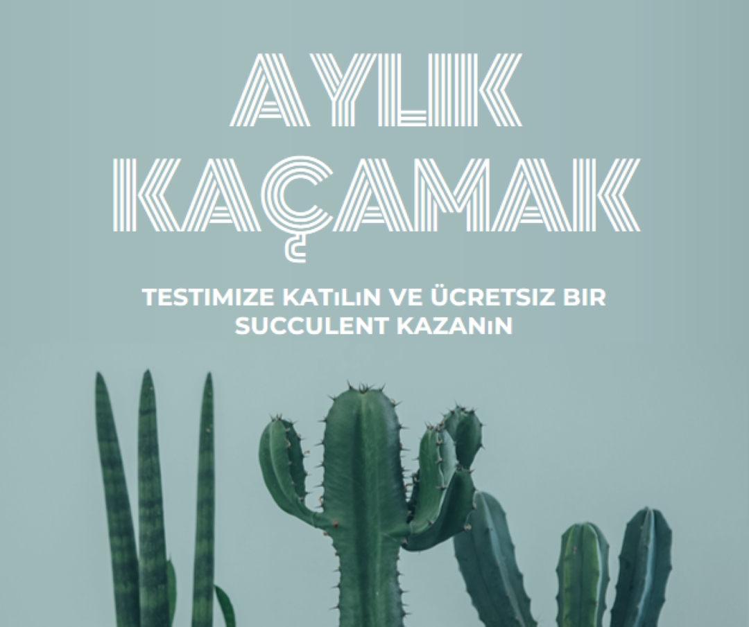 Aylık hediye testi green modern-simple