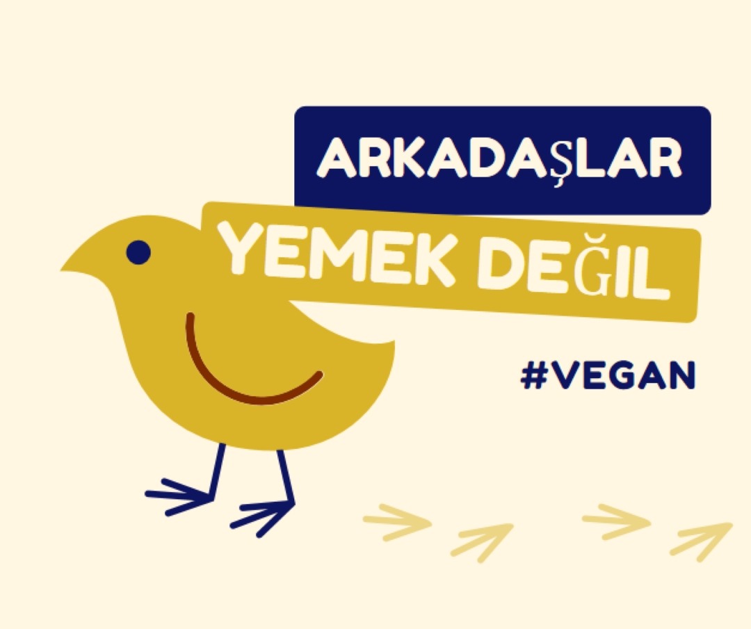 Arkadaşlar, yemek değil yellow whimsical-color-block