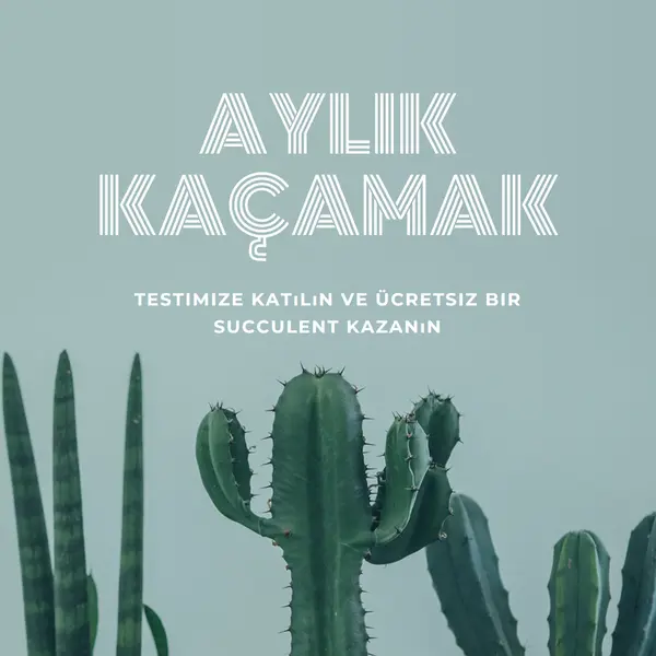 Aylık hediye testi green modern-simple