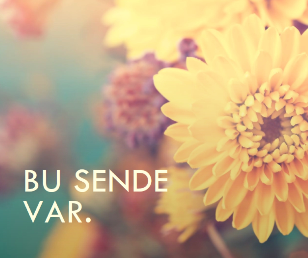 Başarılı taçyaprağılar yellow modern-simple
