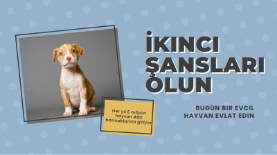 İkinci şans pup blue modern-bold