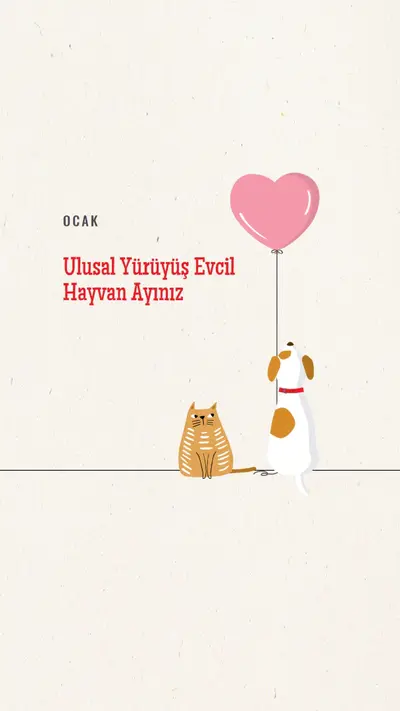 Benimle yürü gray whimsical-color-block