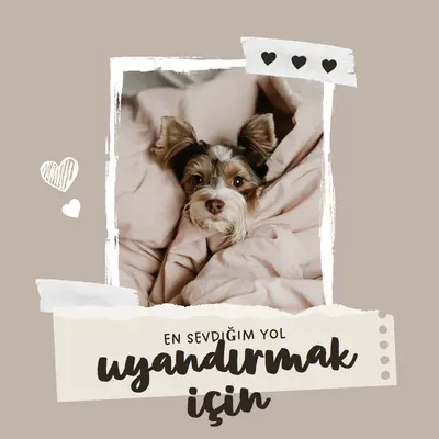 Uyanmak için en sevdiğim yol brown modern,scrapbook,paper,collage,brushstroke,handwriting,