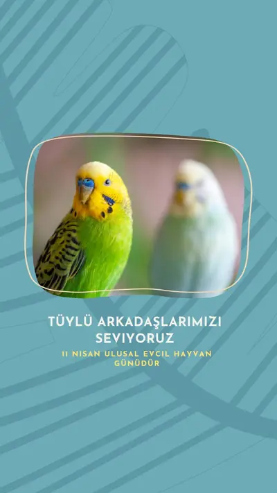 Birlikte tüy blue organic-simple