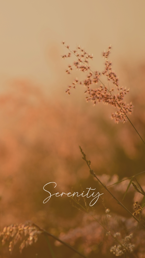 Huzur alanları brown modern,minimal,nature,quiet,soft,plants