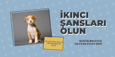 İkinci şans pup blue modern-bold