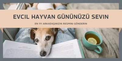 En iyi dostun gray modern-simple
