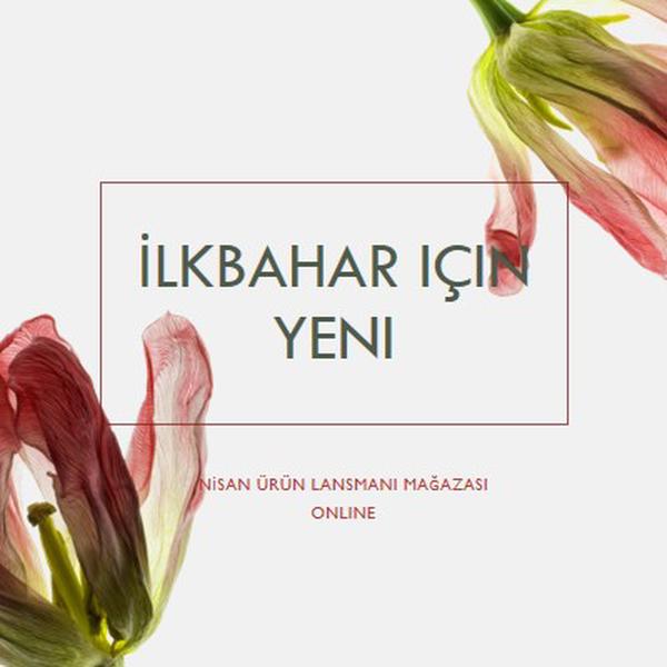 İlkbahar için yeni green modern-simple