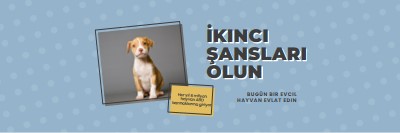 İkinci şans pup blue modern-bold