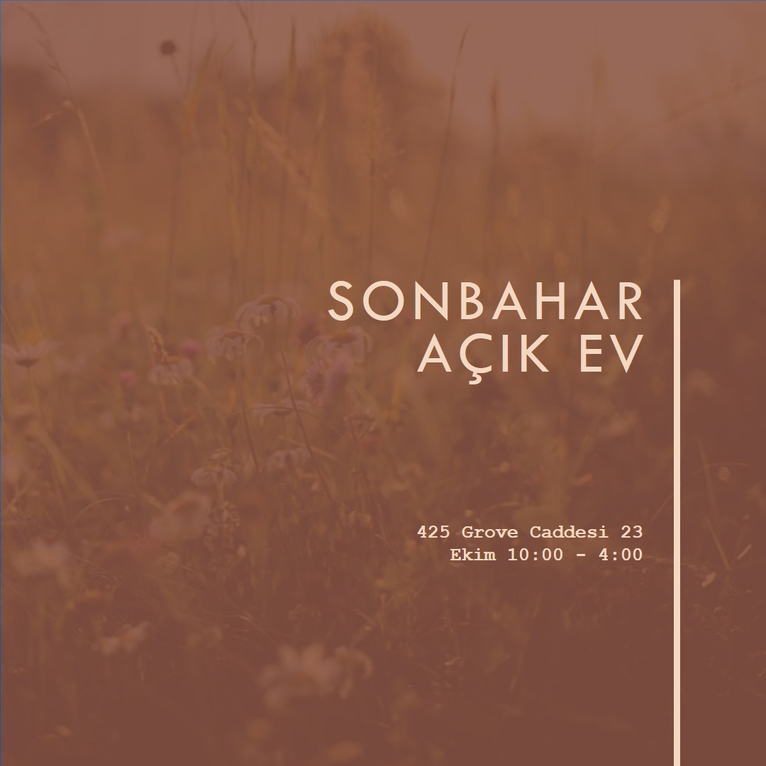 Sonbahar açık ev brown modern-simple