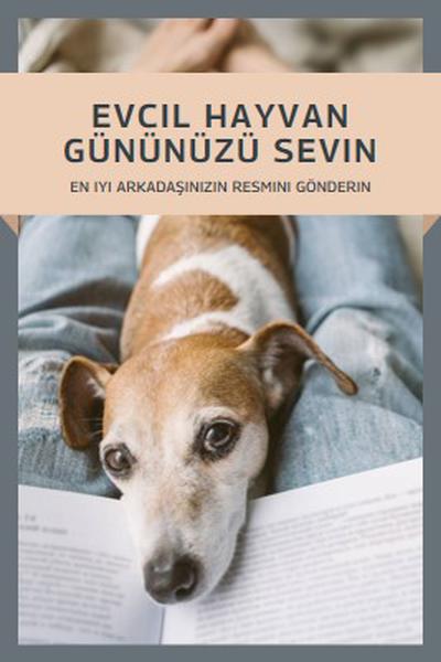 En iyi dostun gray modern-simple
