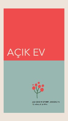 Sanatlı açık ev red modern-simple