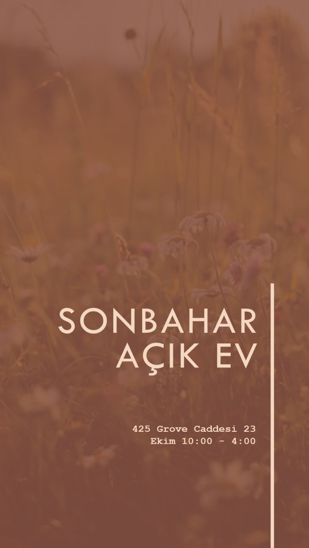 Sonbahar açık ev brown modern-simple