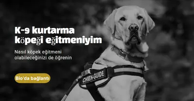 Ben bir kurtarma köpeği eğitmeniyim black modern-simple