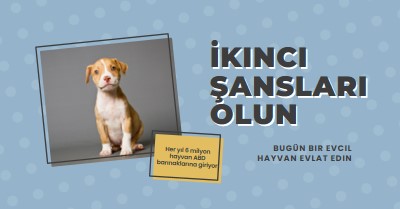 İkinci şans pup blue modern-bold