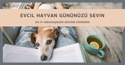 En iyi dostun gray modern-simple